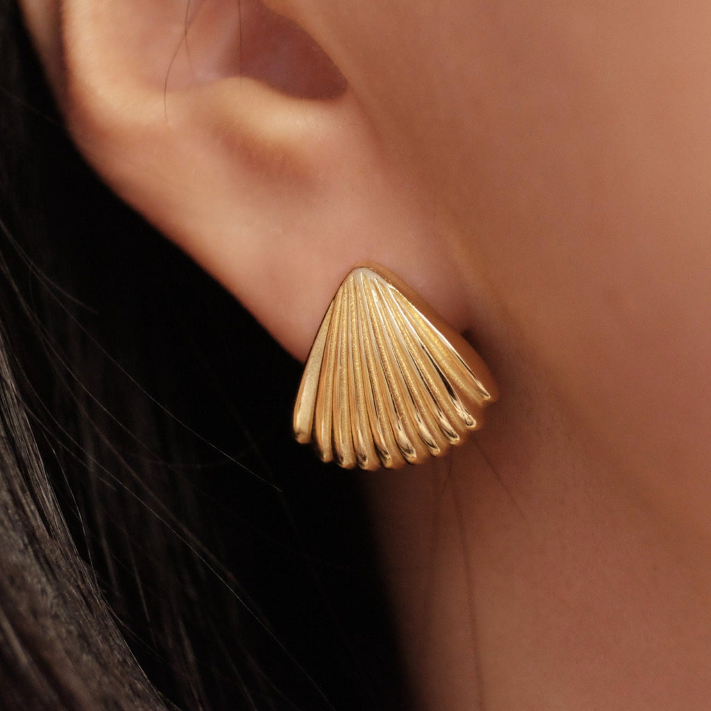 seashell earrings