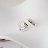 seashell earrings