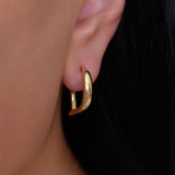 Huggie hoop earrings