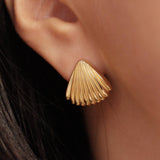 Pendientes de concha marina
